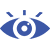 Vision Icon